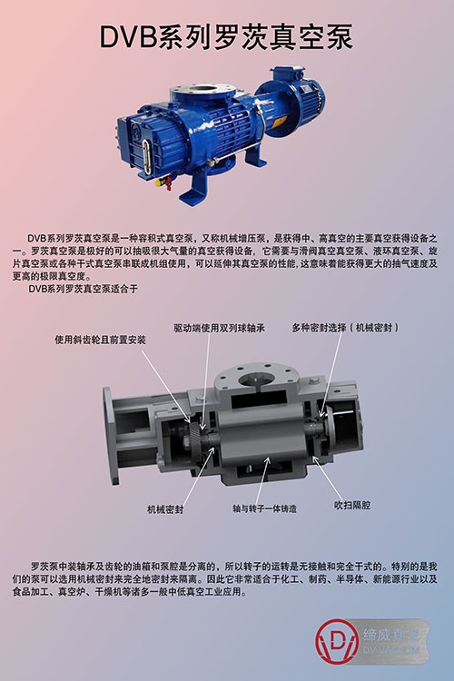 DVB系列罗茨真空泵